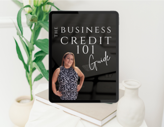 The Business Credit 101 Guide